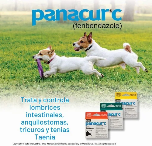Vista 2 de Perros 0.14 oz cada paquete trata 40 libras (3 paquetes) (5 paquetes)