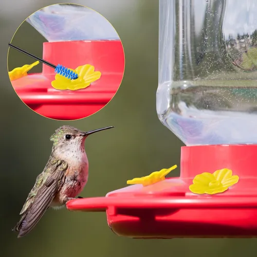Vista 5 de 38 piezas de 3 tamaños de cepillo de limpieza para comederos de colibríes, mini cepillo de tubo de nailon con 16 piezas de repuesto para pájaros