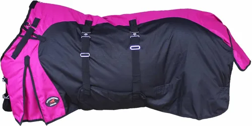 Vista 15 de Challenger Horse 1200D Turnout Sheet Waterproof, Breathable, Light-Weight Rain Blanket with Bellyband, Ripstop Outer Shell 3EE13B