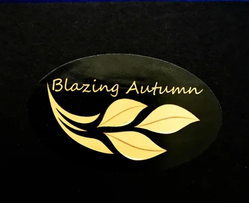 Vista 5 de Blazing Autumn Pulseras de plata esterlina 925 joyería de moda para mujer, Plata de ley Plata, Sin gemas.