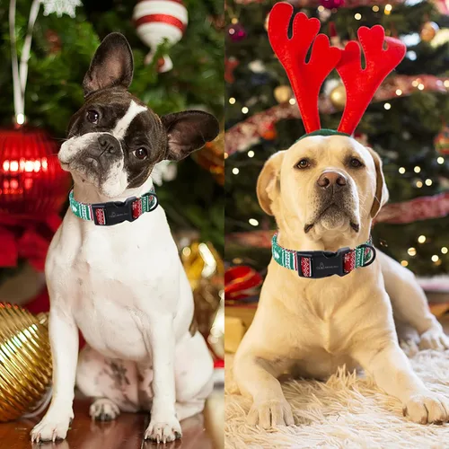 Vista 4 de ARING PET Collar de Navidad para perro, lindo collar de copos de nieve populares rojo y verde con hebilla de liberación rápida para cachorros
