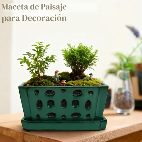 Vista 7 de Pumtus Maceta de cerámica para orquídeas con platillo y agujeros, maceta rectangular grande con guantes y 3 palas, maceta decorativa esmaltada