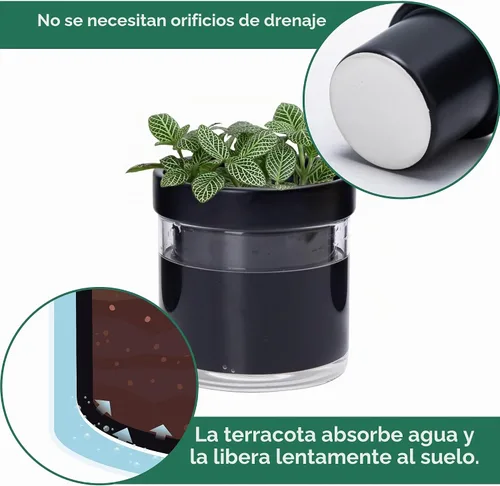 Vista 5 de Phoenix Vine Macetero de terracota de riego automático de 4 pulgadas, maceta de arcilla de terracota negra con depósito de vidrio para plantas