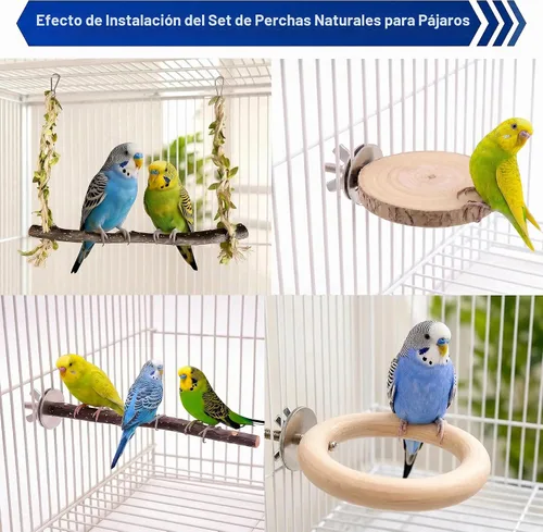 Vista 6 de 4-in-1 Bird Perches for Cage, Natural Wood Stands for Small Parrots