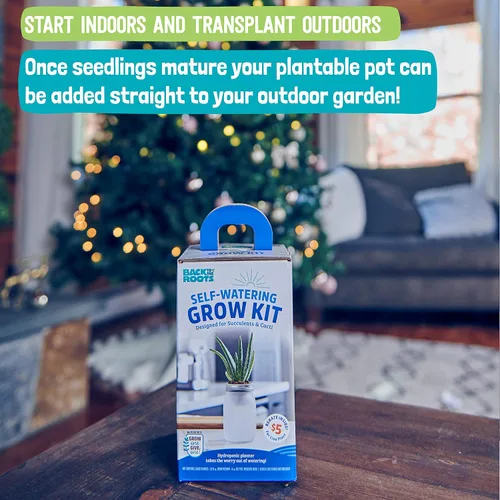 Vista 4 de Back to The Roots Kit de cultivo de riego automático: macetas hidropónicas de vidrio para suculentas y sistema de riego automático de cactus