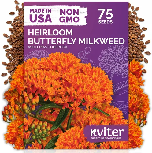 Vista 137 de 500 Ball's Orange Calendula Heirloom Flower Seeds, Calendula Officinalis
