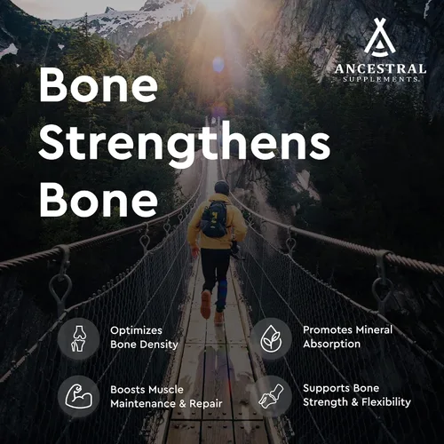 Vista 3 de Ancestral Supplements Suplemento de hueso vivo de carne de res alimentada con pasto, cápsulas de harina de hueso que apoyan la salud ósea, la salud