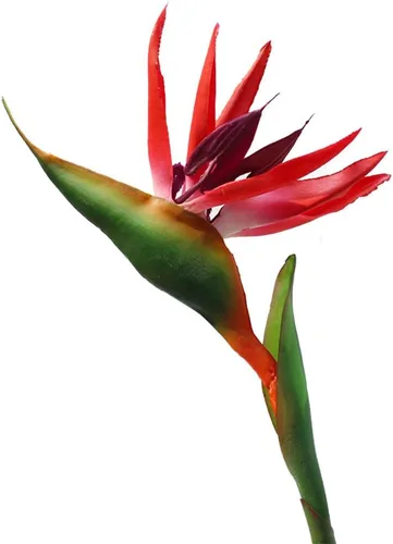 Vista 9 de Flor artificial de pájaro del paraíso artificial Strelitzia Reginae planta de seda artificial para oficina en casa, 1 unidad (azul)