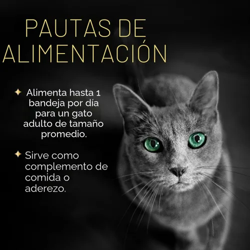 Vista 6 de Sheba Selections Filets Complemento húmedo para gatos, pollo, 1.3 onzas, 12