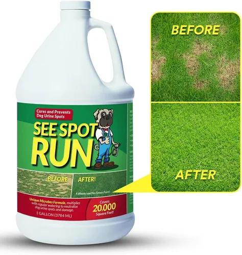 Vista 9 de Producto neutro See Spot Run