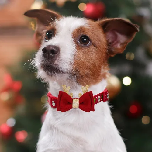 Vista 4 de azuza Collar de Navidad para mascotas, collar de Navidad ajustable para perro con cuernos de Navidad, accesorios de corbatín de muñeco de nieve