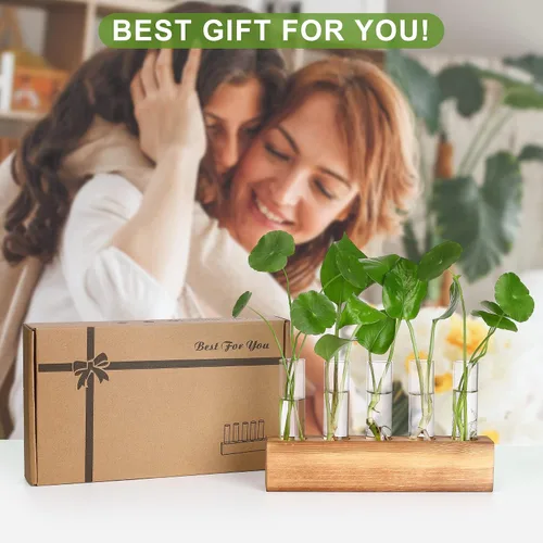Vista 6 de Estaciones de propagación YIBOT, terrario de plantas con soporte de madera, regalos de jardinería de cumpleaños para mujeres, madres amantes