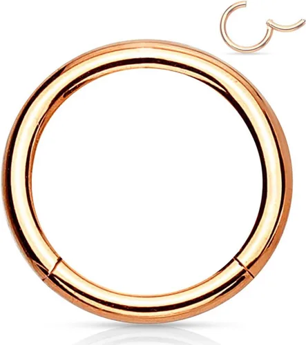 Vista 27 de Forbidden Body Jewelry - Piercing para la nariz de acero quirúrgico 316L con bisagra, 14G, 16G, 18G, diámetro de 15/64, 5/16, 25/64, 15/32 pulgadas