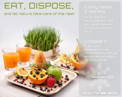 Vista 7 de ECODECO Platos de hoja de palmera – 50 piezas cuadrados de 8 pulgadas – Platos desechables como bambú para fiesta con cubiertos