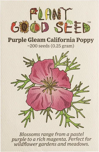 Vista 8 de Plant Good Seed Semillas de amapola de California, paquete de 300, semillas tradicionales para plantar flores, suministros de jardinería, jardín