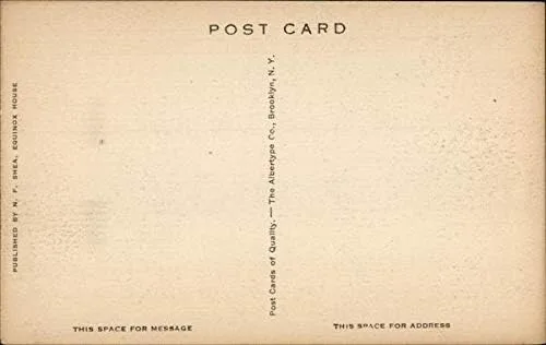 Vista 2 de Equinox House Manchester, Vermont VT Original Antique Postcard