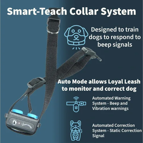 Vista 4 de Correa electrónica segura para entrenamiento de perros con modo automático, control remoto ergonómico, sensibilidad ajustable, collar sin tirones
