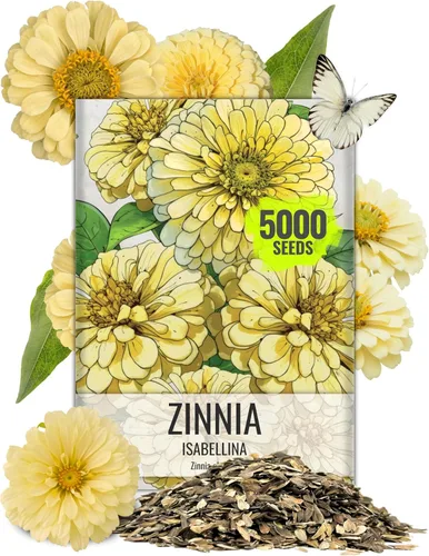 Vista 33 de Seed Needs State Fair - Semillas de zinnia para plantar flores cortadas mixtas, 1 paquete 4-Mezclado