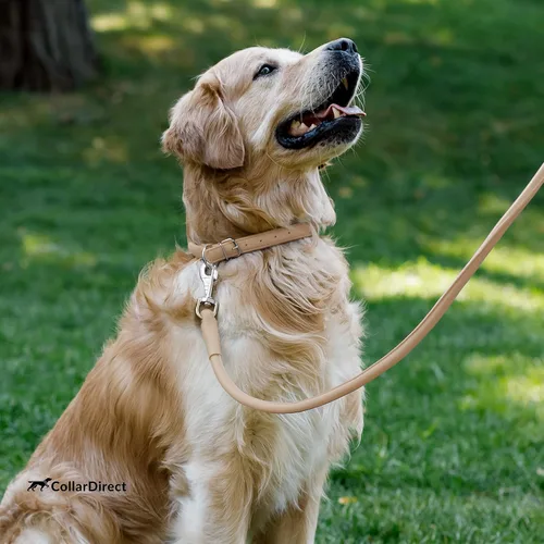 Vista 8 de CollarDirect Collar de perro de cuero enrollado, collar redondo acolchado suave para cachorros, collar de cuero genuino hecho a mano para perros
