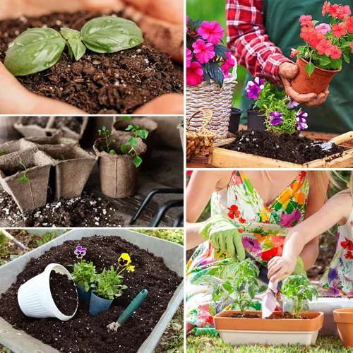 Vista 7 de Halatool Tierra para macetas de interior de 3 cuartos de galón para plantas, mezcla para macetas de orquídeas, tierra de jardín superior