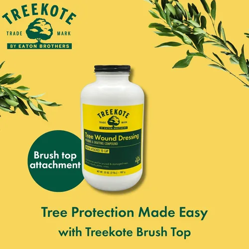 Vista 6 de Treekote Cepillo para aderezo de heridas, 32 onzas para árboles y arbustos, pasta curativa y sellador de heridas de árboles, sellador de poda