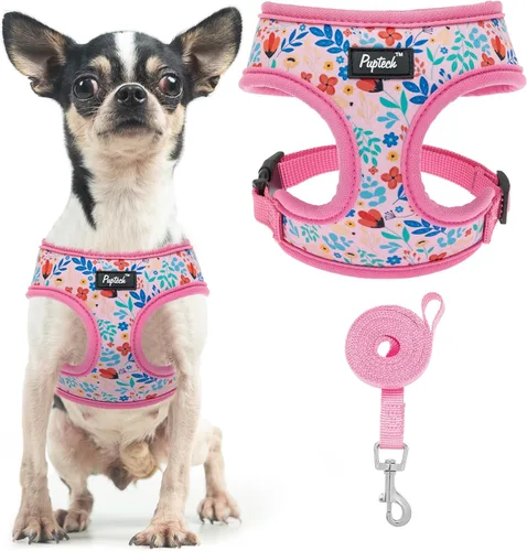 Vista 60 de PUPTECK Juego de arnés y correa de malla suave para perro, cachorro y gato, cómodo chaleco acolchado sin tirones, azul Pascua, S