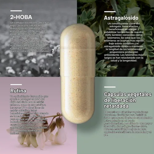 Vista 3 de SRW Laboratories Cel¹ Stability Suplemento de células madre con 2-HOBA - Apoya la defensa del estrés, la estructura del ADN y la función celular