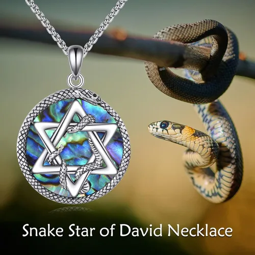 Vista 6 de KQF Collar con dije de estrella de David S925 de plata esterlina hexagrama gótico de huesos para hombre