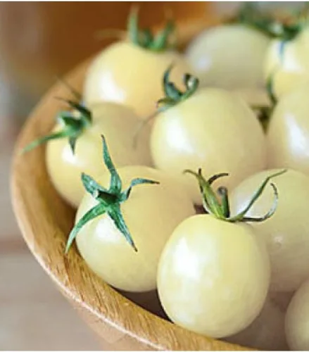 Vista 2 de Semillas Italiano Hielo Cherry Tomate Blanco Indeterminado No GMO