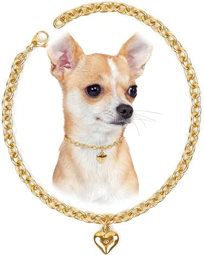 Vista 12 de HOWWFALY Collar para Perro y Cadena Collar para Gato de Acero Inoxidable Ajustable Collar en Forma de Corazón de Oro 18K para Mascotas Pequeñas