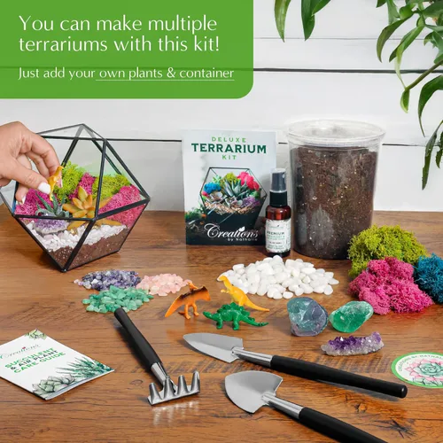 Vista 4 de Creations by Nathalie – Kit de bricolaje grande para terrario de inicio con tierra, musgo, piedras, cristal de curación, herramientas y suministros