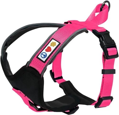Vista 30 de Arnés para perro Pawtitas para entrenamiento de suave, ajustable, reflectante, acolchado para cachorros, Azul