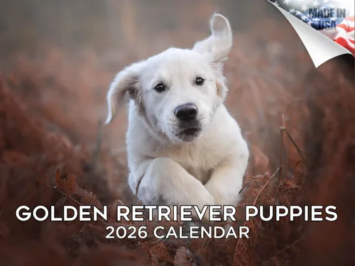 Vista 38 de Calendario de Lebrel Afgano 2025 2026, calendario mensual de pared de raza canina, 12" x 18" abierto, papel grueso sin traspaso, ideal para regalo