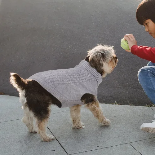 Vista 8 de DENTRUN Suéter para perros pequeños, cachorro de cuello alto para clima frío, ropa clásica de invierno cálida para perro, suéter para perrito