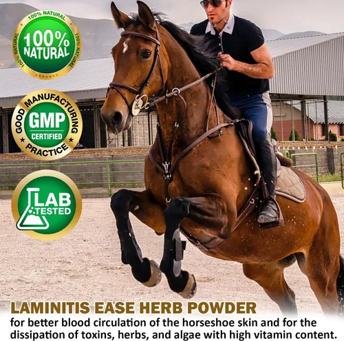 Vista 3 de V-POINT - Laminitis Ease - Suplementos de pezuñas para caballos - Producto para el cuidado de pezuñas de caballo a base de polvo natural - Ideal