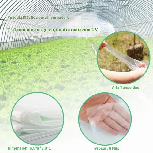 Vista 2 de Yowlieu Lámina de plástico transparente para invernaderos de 6 mil, película de polietileno resistente a los rayos UV de 6.5' x 9.8' cubierta