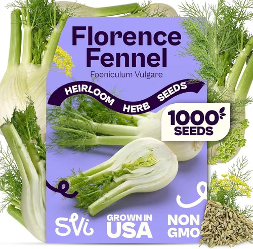 Vista 10 de SVI 2000 semillas de albahaca genovesa (Ocimum basilicum) - Paquetes de semillas de albahaca dulce - Semillas aromáticas de hierbas culinarias
