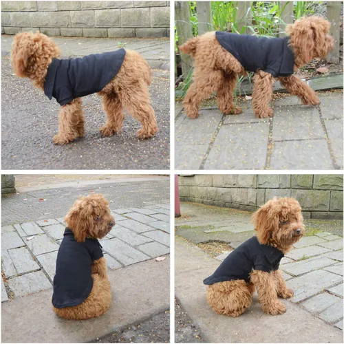 Vista 5 de lovelonglong Polo básico para perro, de algodón de primera calidad, para perros grandes, medianos y pequeños, con cuello de dos botones, color Negro