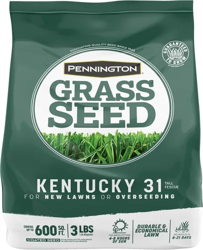 Vista 10 de Pennington Kentucky 31 Semilla de Césped Festuca Alta Penkoted 3 lb