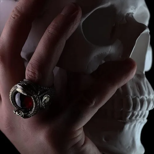 Vista 2 de MayiaHey Anillo de piedra roja de dragón punk para hombre, anillo gótico de tótem de dragón helado para niños, Metal no precioso., No