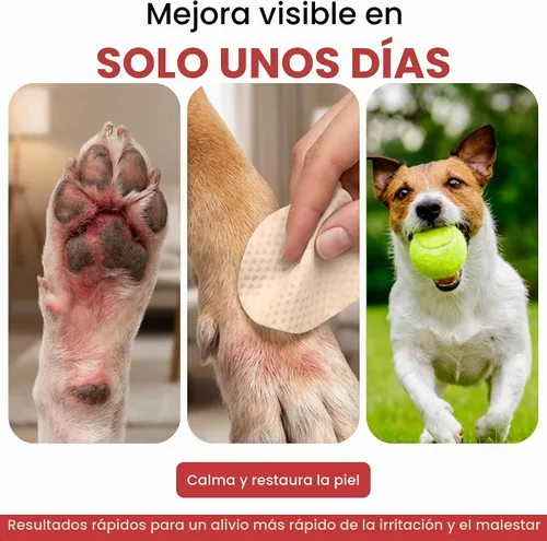 Vista 6 de Dog Paw Wipes Antibacterial 50 Count - Toallitas antifúngicas para perros