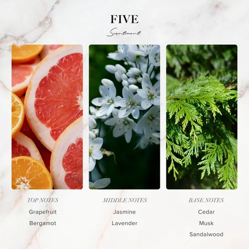 Vista 2 de Aceite Difusor Scentiment - Colección de Cinco Diseños Fragancia para el Hogar de Aromaterapia Aroma Lujoso con Notas de Toronja, Lavanda, Musk