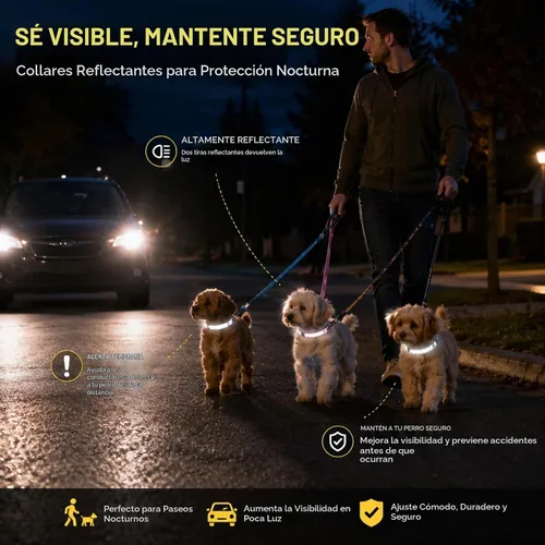 Vista 2 de Sanwuta - 12 collares reflectantes para cachorros, nailon ajustable a