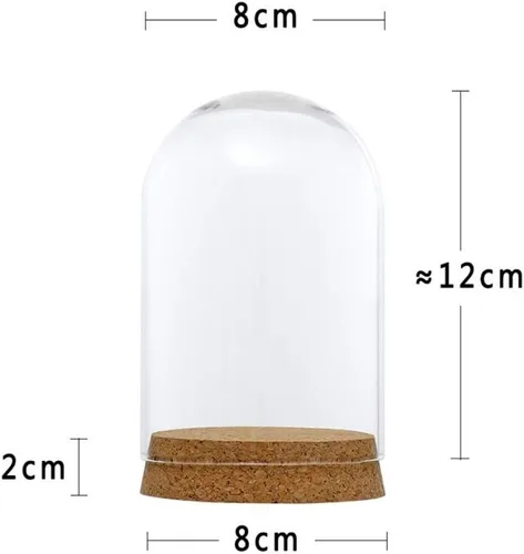 Vista 3 de FLAMEER 10 piezas de 3.1x4.7 in cubierta de cúpula de cristal transparente Cloche Bell Jar Suculenta Terrarios con base de corcho de madera