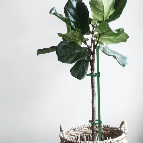 Vista 6 de 20 estacas de soporte para plantas, altura ajustable, para jardín, con 40 clips para plantas y 10 tubos de conexión para orquídeas, rosas, peonías