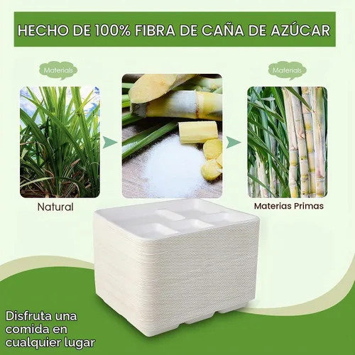 Vista 7 de Vplus Platos 100% compostables con 5 compartimentos, paquete de 125 platos ecológicos desechables de caña de azúcar de 10 x 8 pulgadas, bandeja