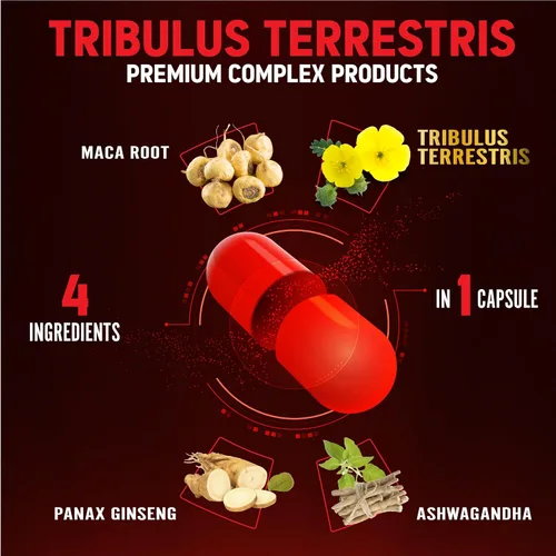 Vista 5 de Zolotus 2 paquetes de Tribulus Terrestris con raíz de maca Ashwagndha, Panax Ginseng - 6 meses de suministro