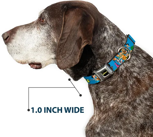 Vista 6 de Collar de perro hebilla de cinturón de seguridad The Picapiedra y Rubbles Group Pose Logo Azul 9 a 15 pulgadas 1.0 pulgadas de ancho