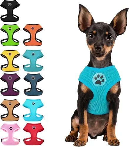 Vista 19 de BINGPET Arnés para perro sin tirones, arnés de chaleco tipo step-in de malla para todo clima para perros pequeños, arnés de malla transpirable