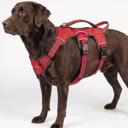 Vista 19 de Tuff Pupper Arnés para perro sin escape a prueba de escape, arnés ajustable de 5 puntos para perros, arneses acolchados para perros, arneses
